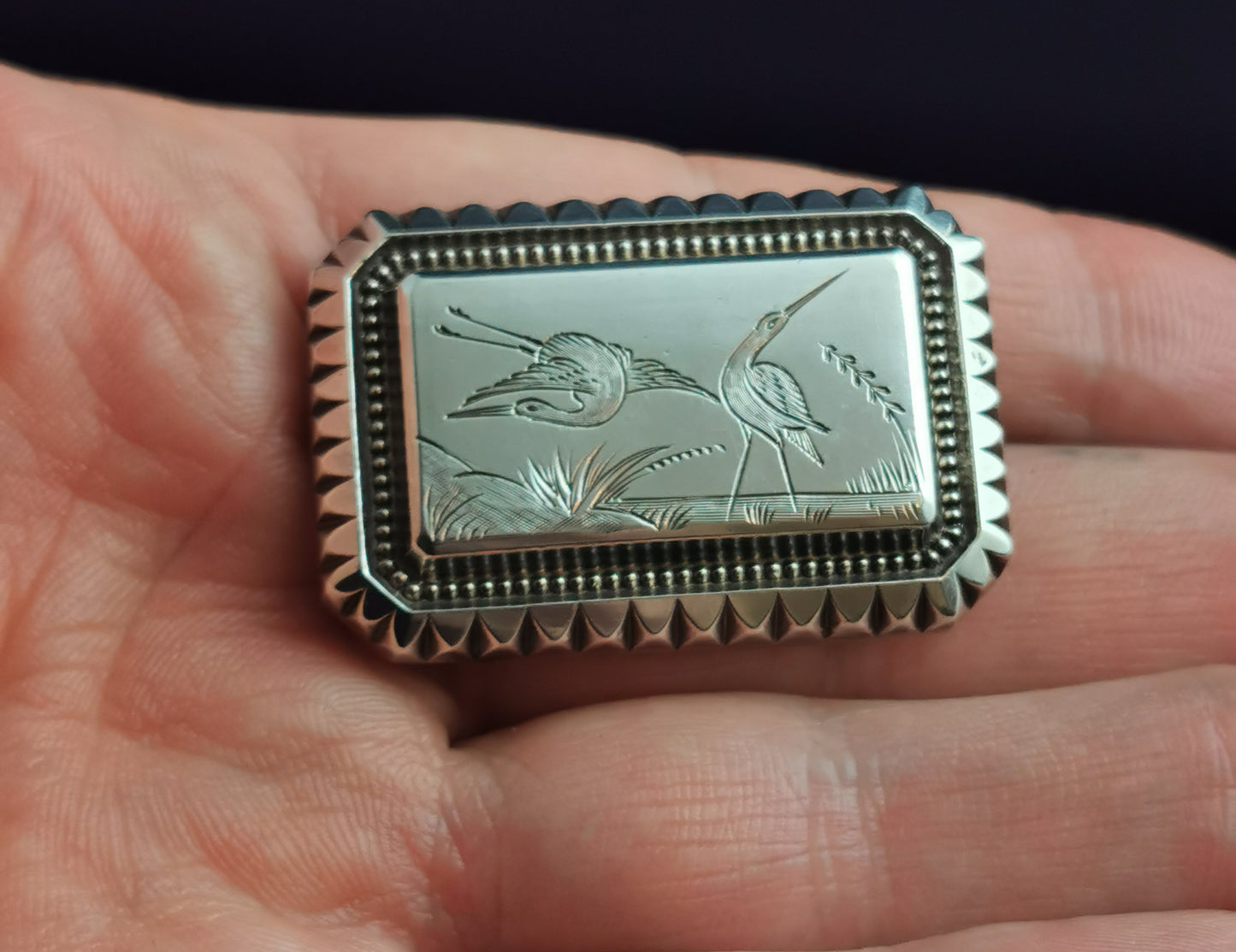 Antique Victorian Aesthetic silver brooch, Herons