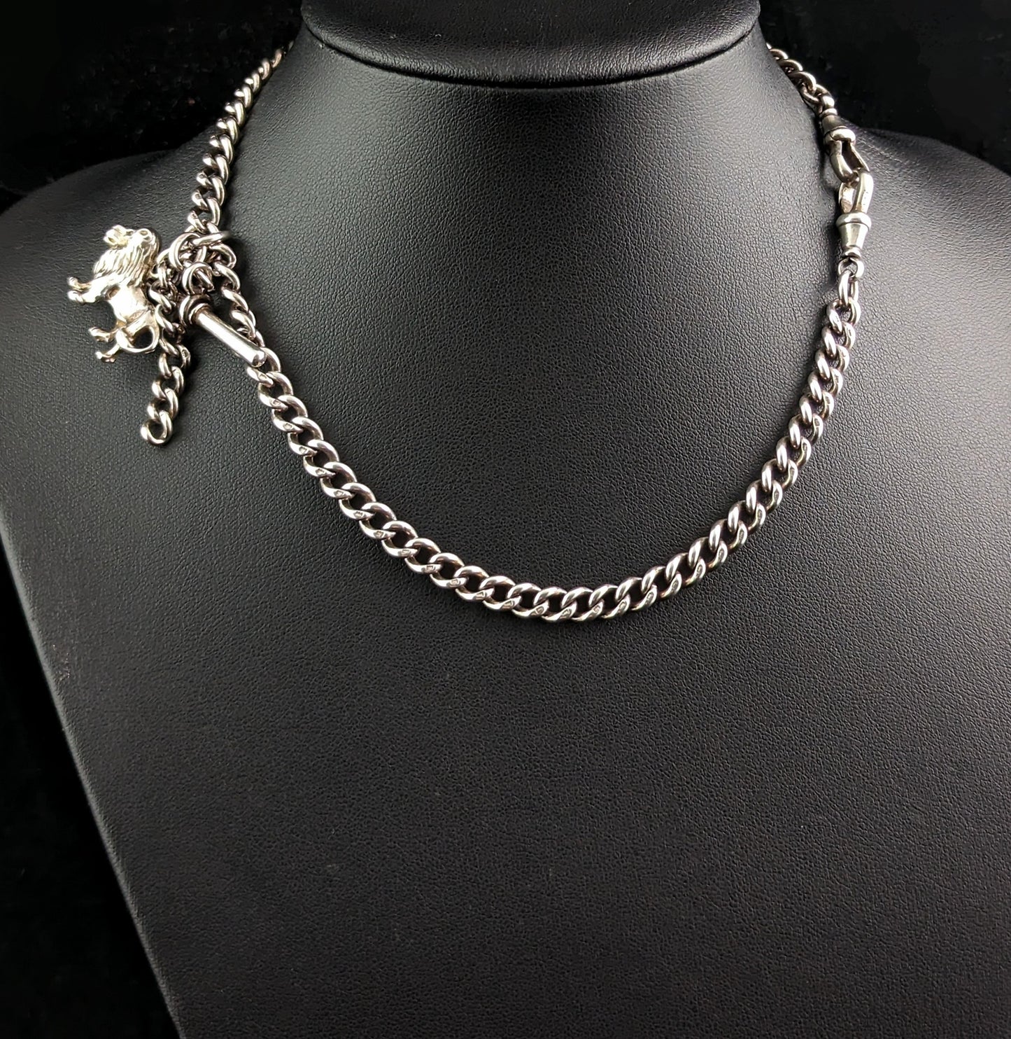 Antique silver Albert chain, lion fob, Edwardian