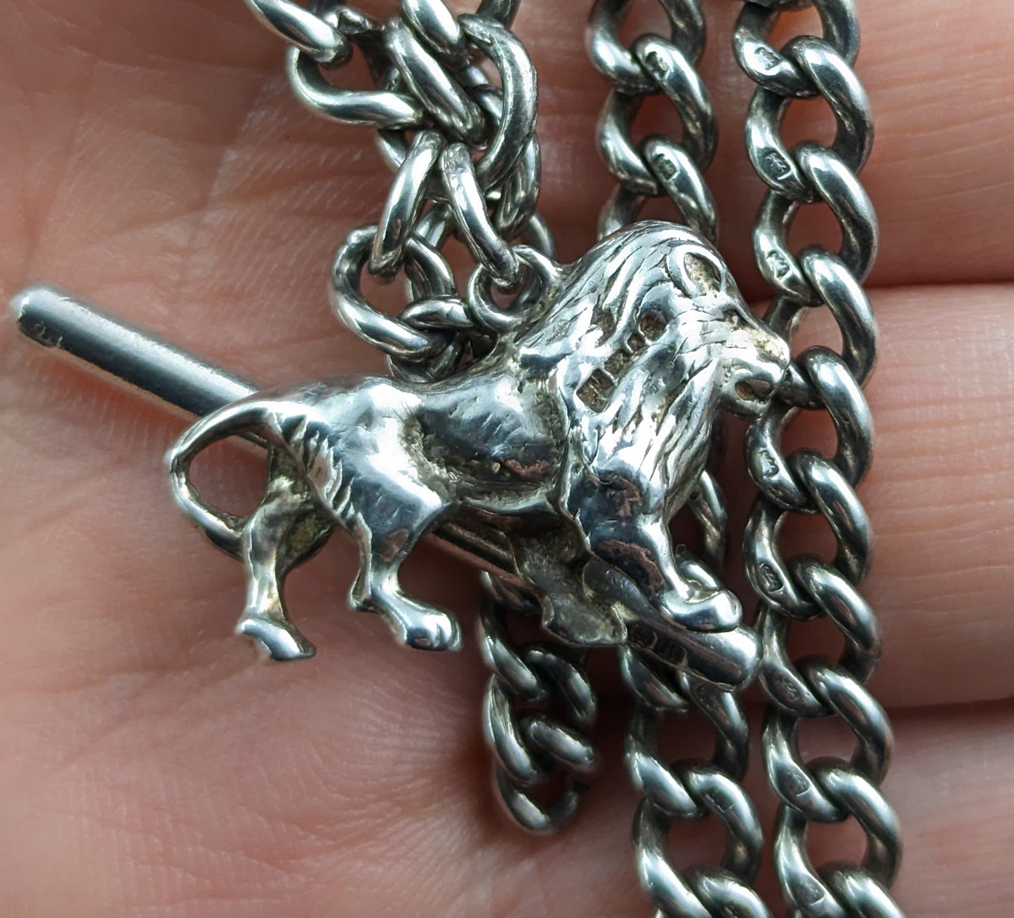 Antique silver Albert chain, lion fob, Edwardian