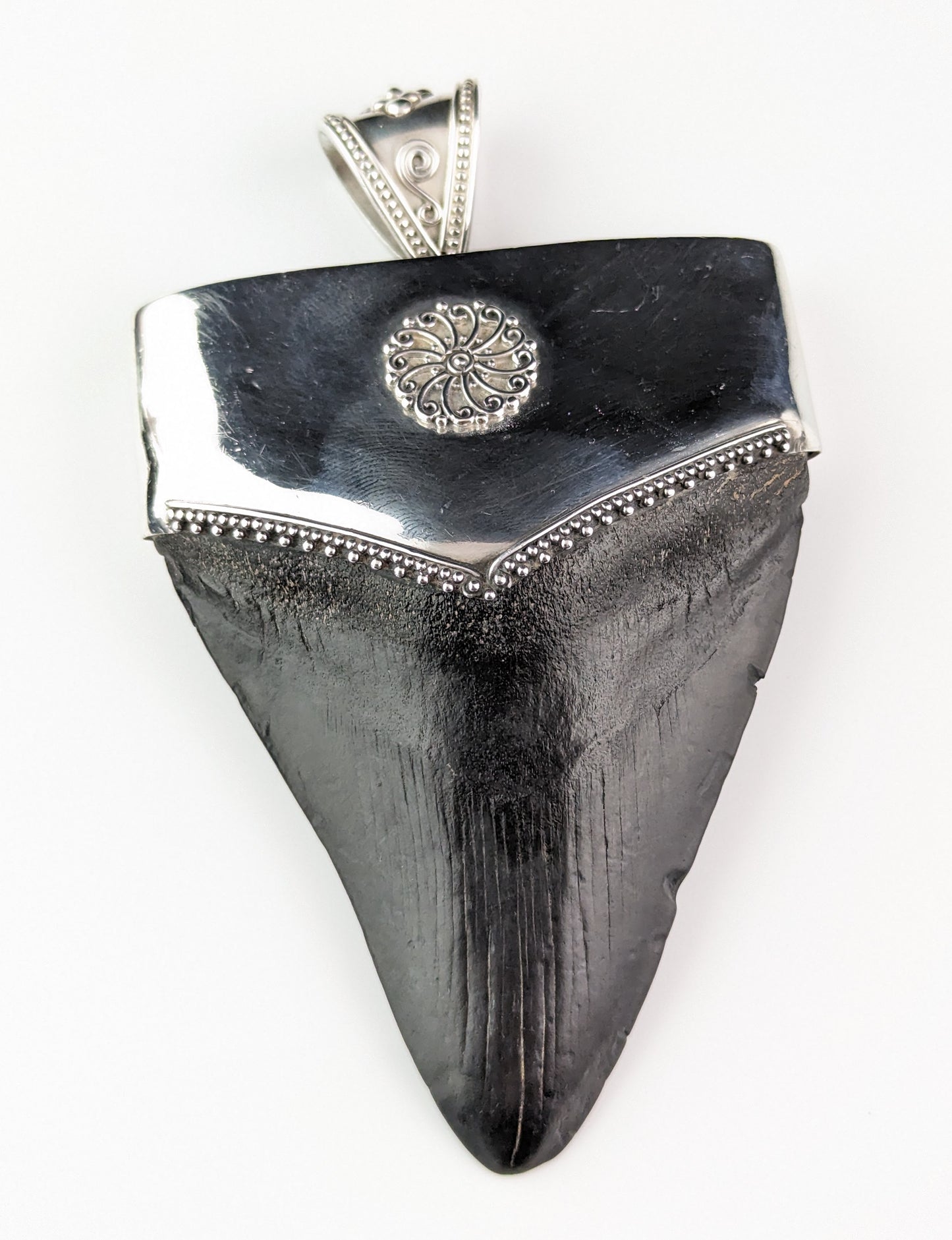 Vintage silver fossil pendant, Megalodon tooth