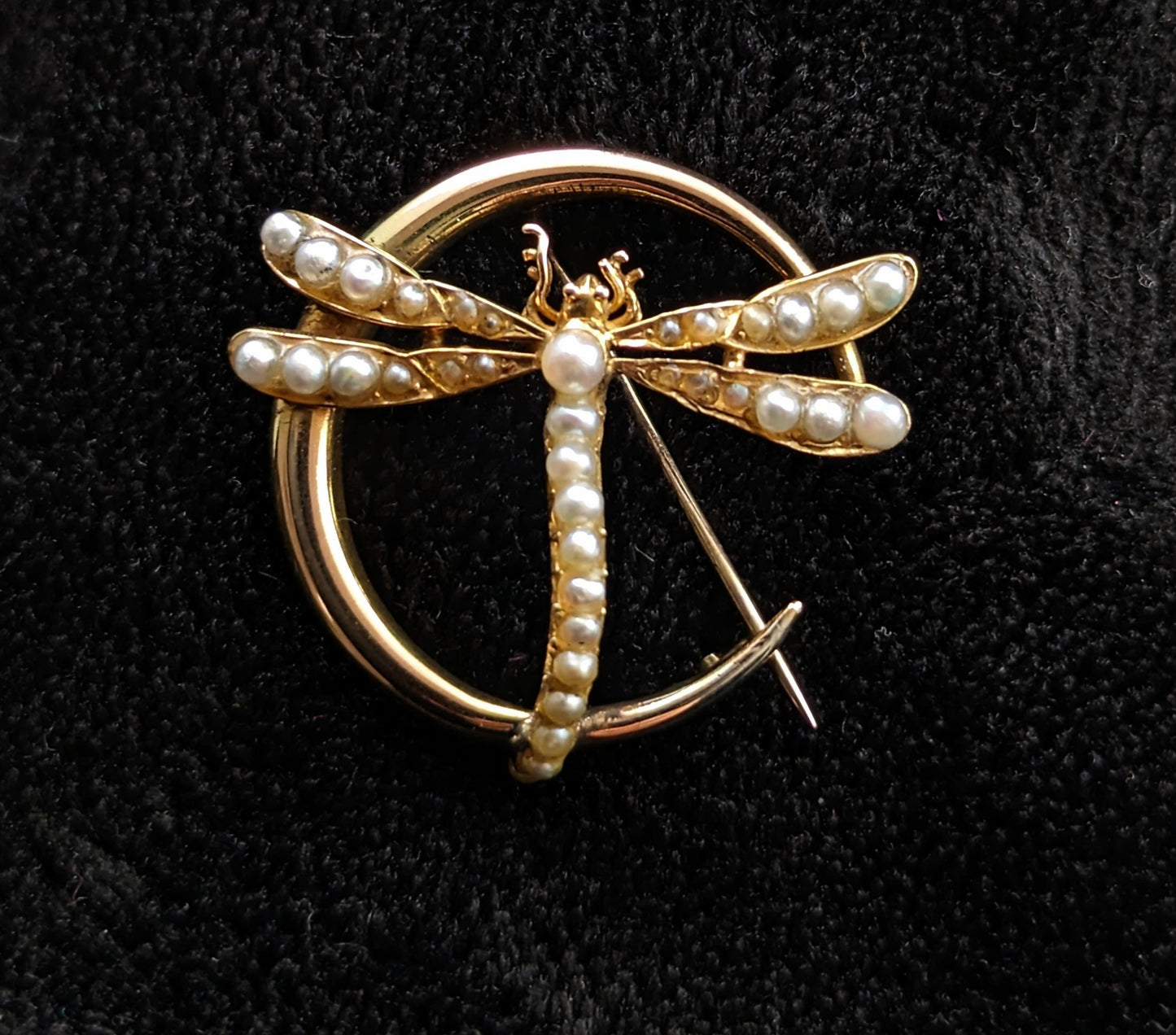 Antique 9ct gold Crescent moon and Dragonfly brooch, Pearl