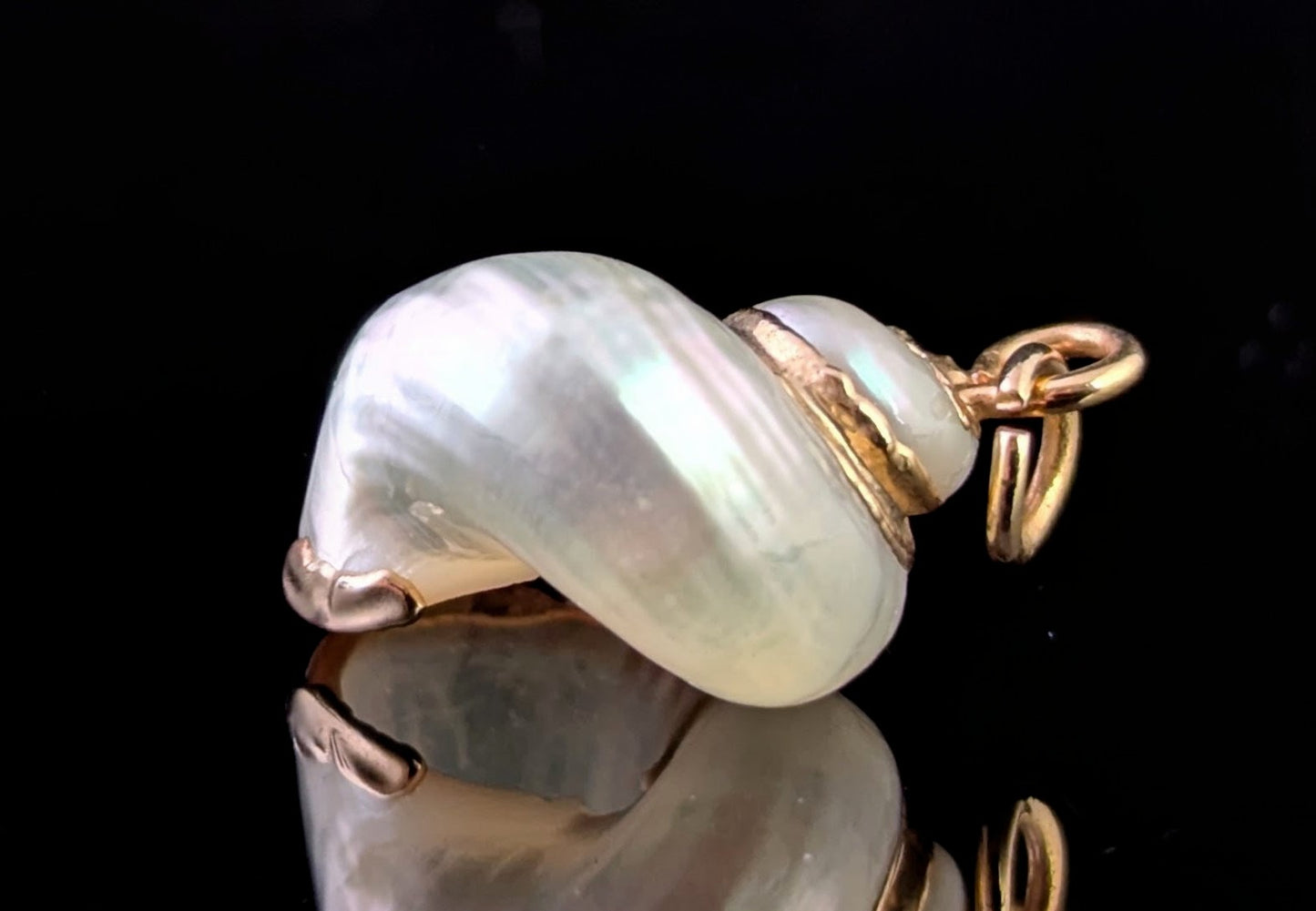 Vintage Nautilus shell pendant, 9ct gold