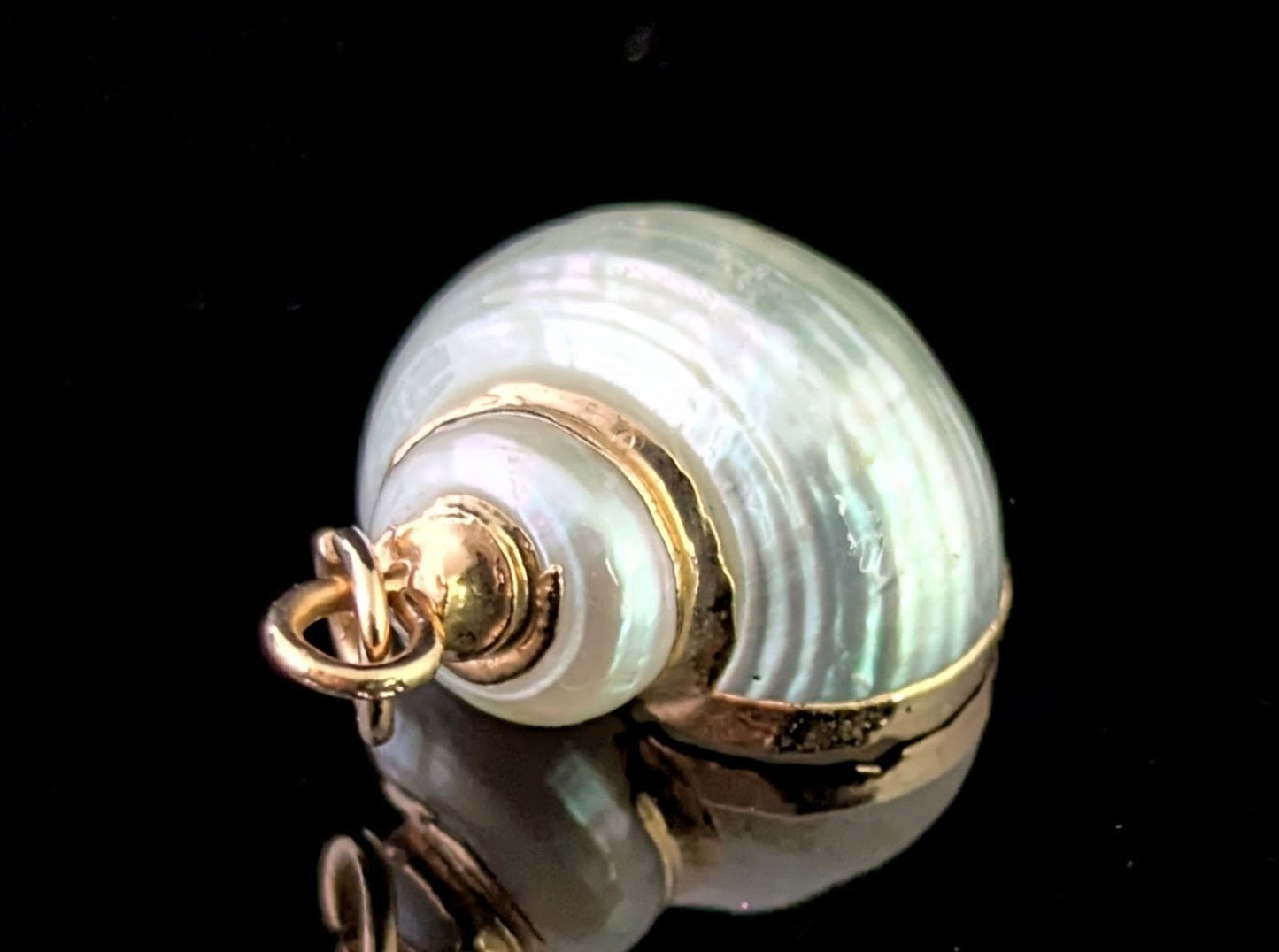 Vintage Nautilus shell pendant, 9ct gold