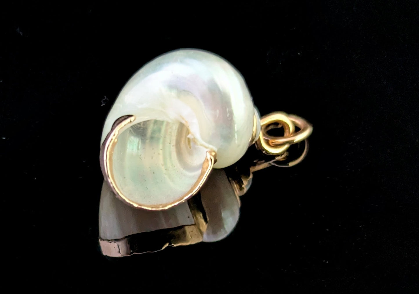 Vintage Nautilus shell pendant, 9ct gold