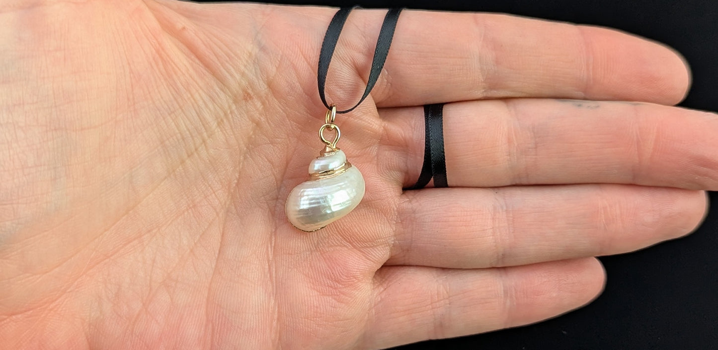 Vintage Nautilus shell pendant, 9ct gold