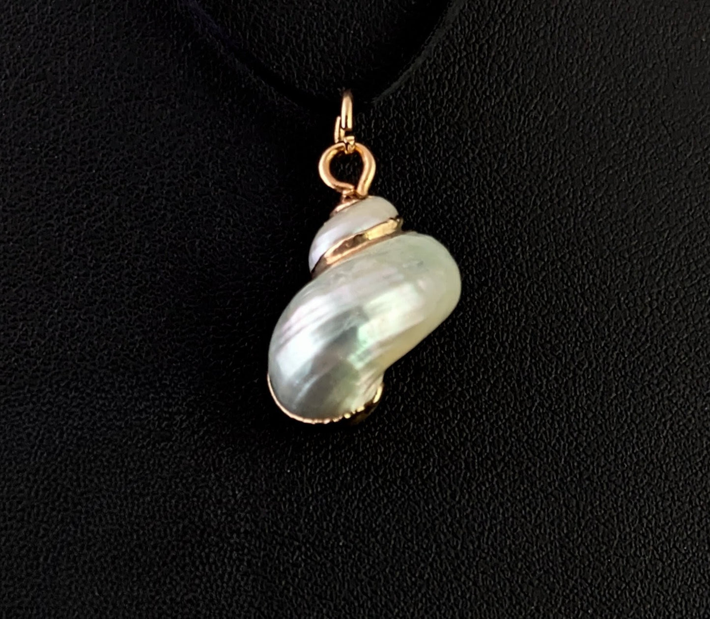 Vintage Nautilus shell pendant, 9ct gold