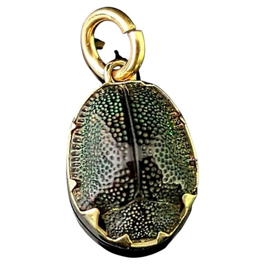 Antique scarab beetle pendant, 9ct gold, Charm