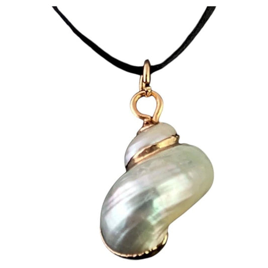 Vintage Nautilus shell pendant, 9ct gold
