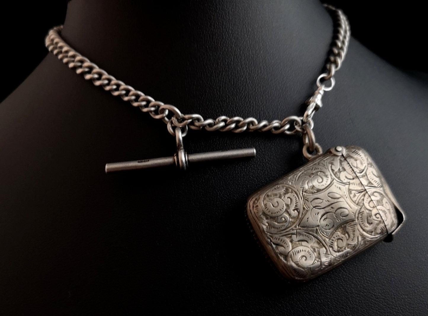 Antique silver albert chain, vesta case
