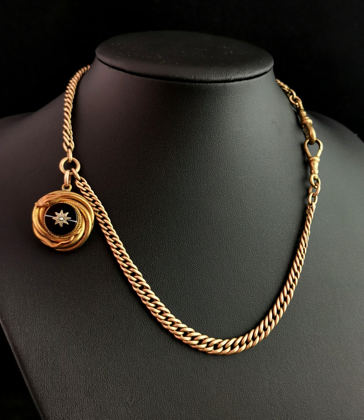 Victorian Agate snake pendant, Pinchbeck Albert chain, necklace