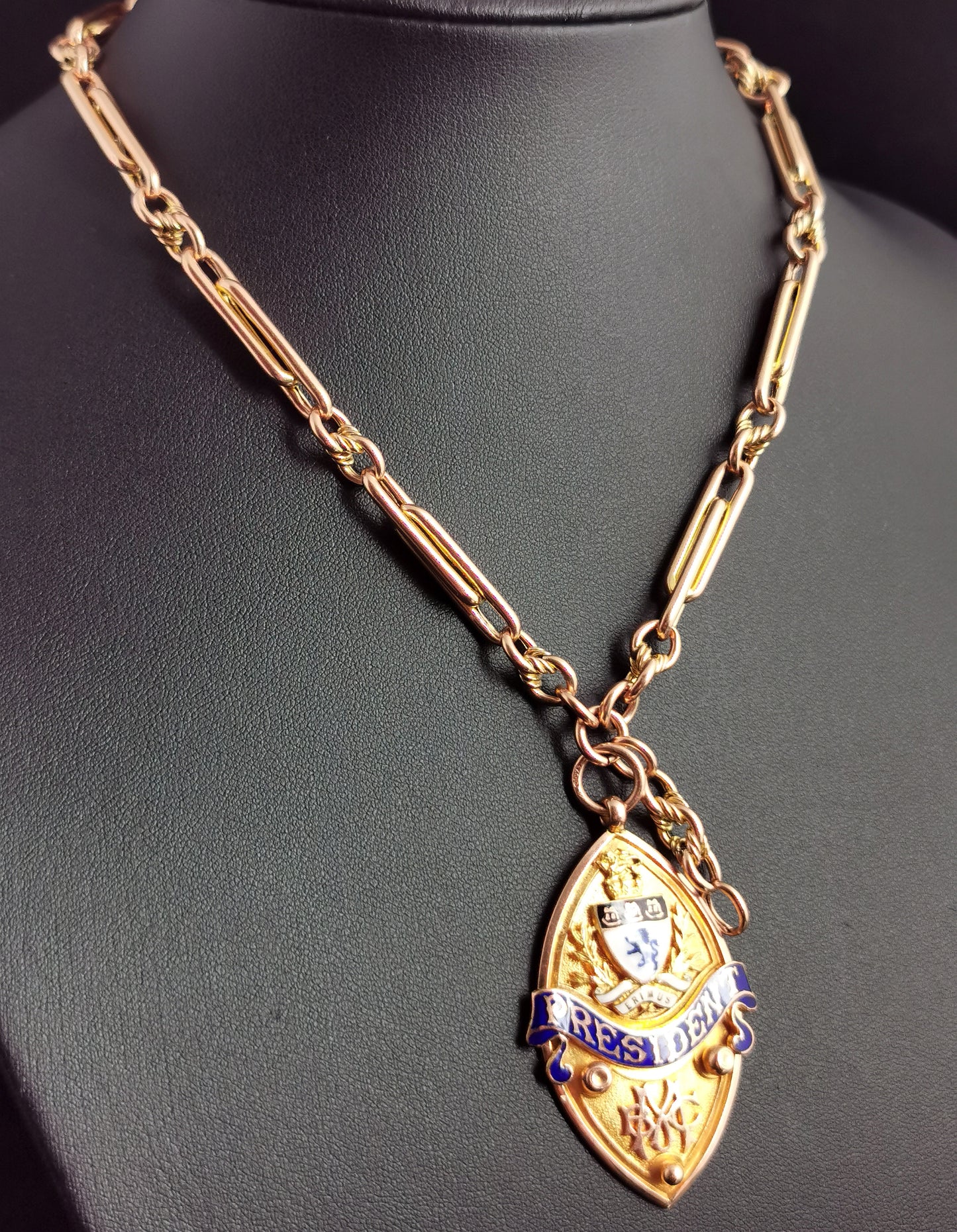 Antique 9ct gold Albert chain, watch chain, Enamelled fob