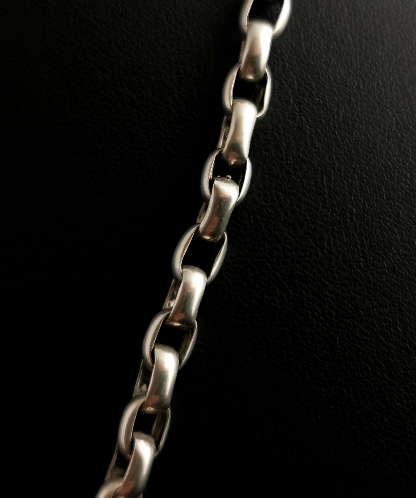 Antique silver horse seal fob pendant, Belcher link long chain necklace, Bloodstone
