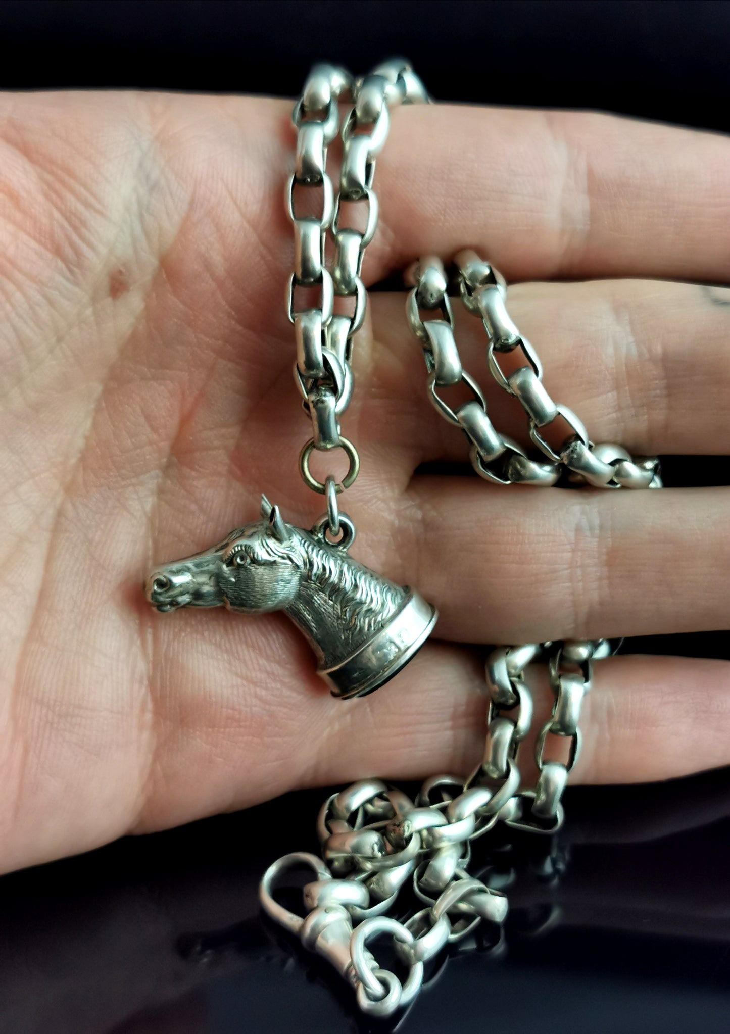 Antique silver horse seal fob pendant, Belcher link long chain necklace, Bloodstone