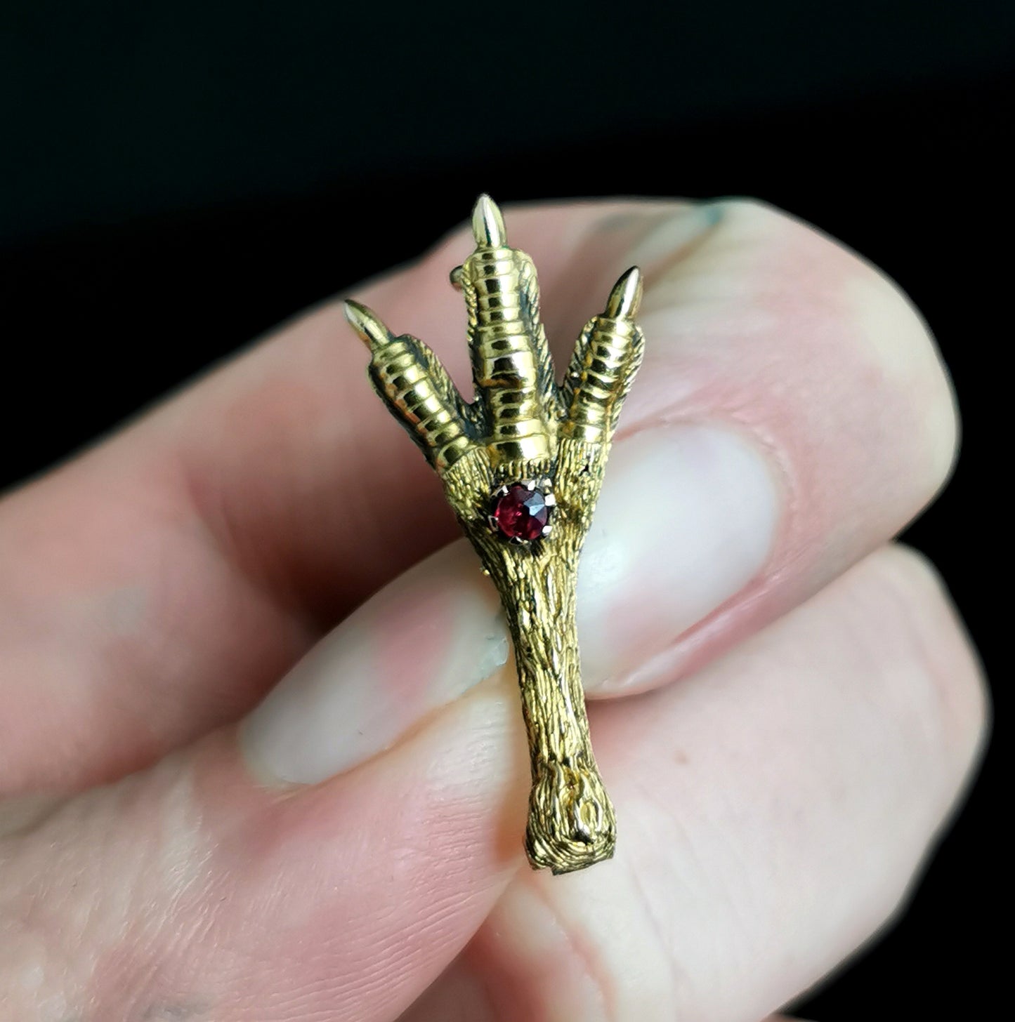 Antique 15ct gold and Ruby claw brooch, Victorian