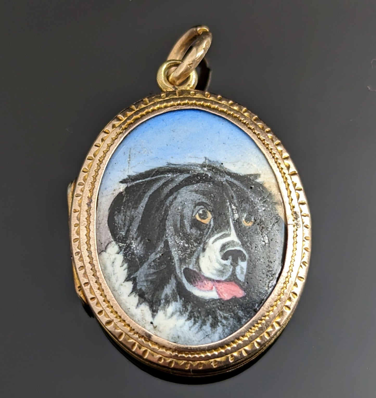 Antique Dog portrait locket, Victorian, 9ct gold front and back