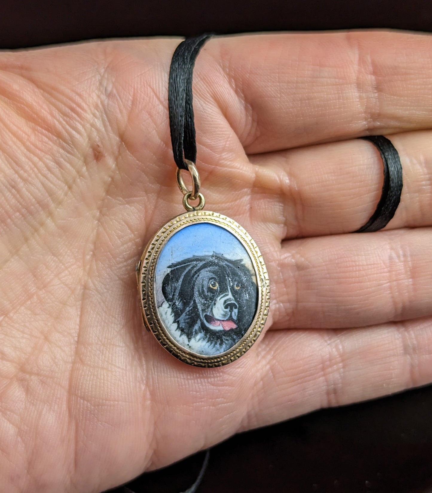 Antique Dog portrait locket, Victorian, 9ct gold front and back