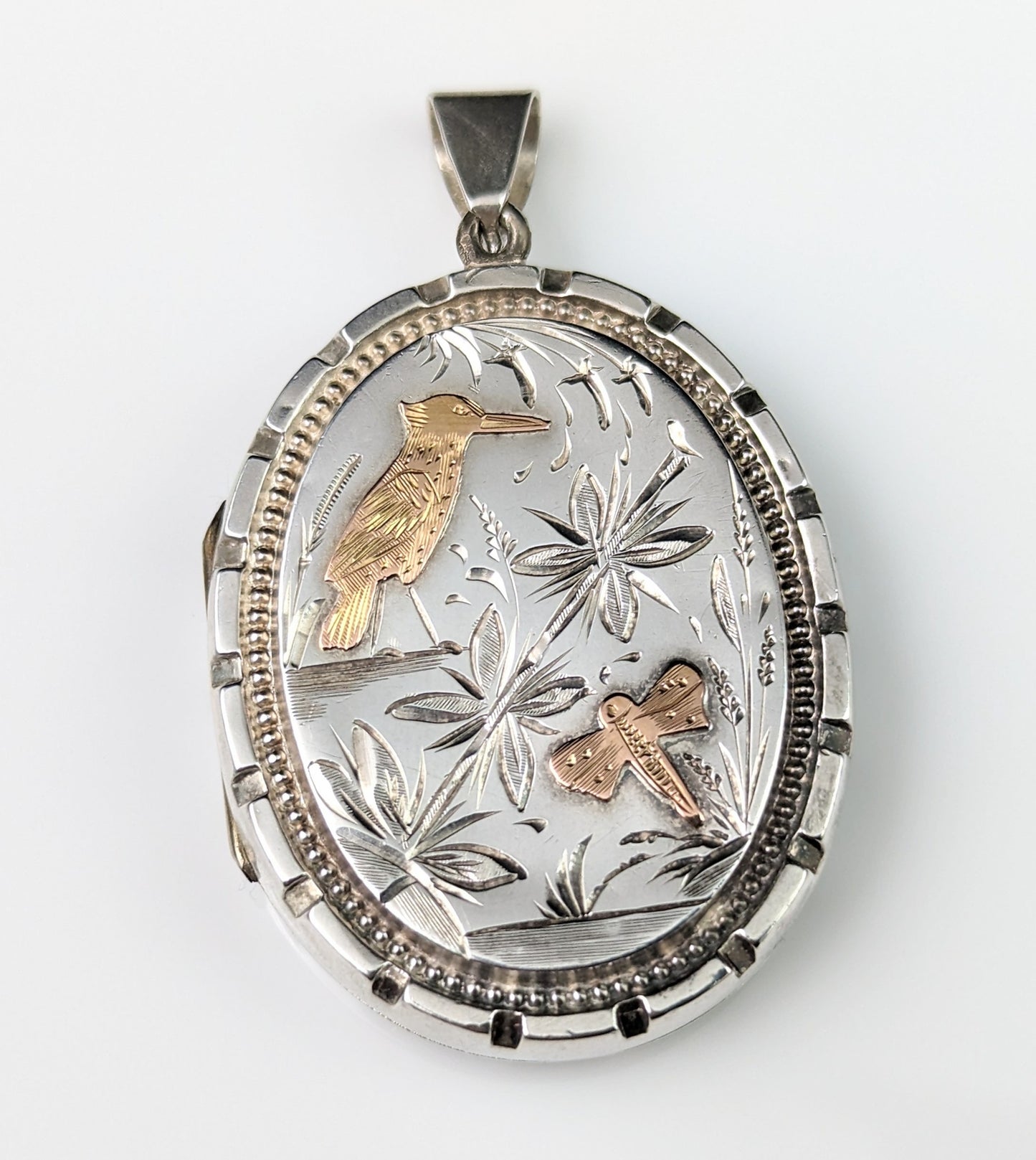 Victorian aesthetic locket, silver and 9ct gold, Kingfisher, Swallow and Dragonfly